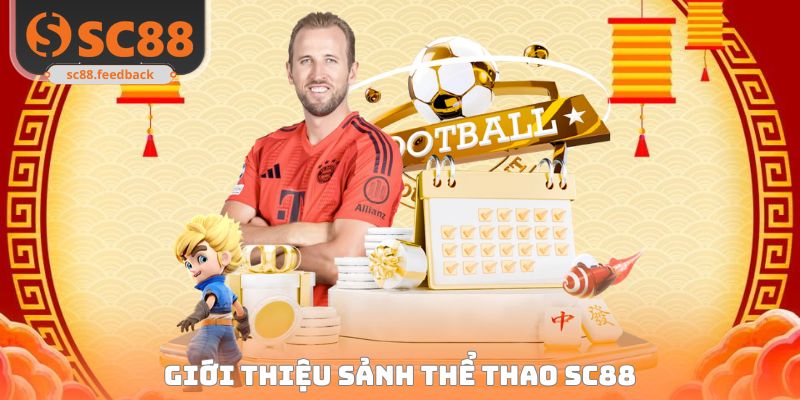 Sơ lược sảnh thể thao đầy sôi động tại cổng cược